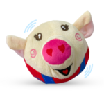 Talking Pig Toy